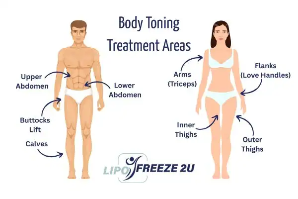 Graphic showing where you can have Body toning Treatment Swanage on your body